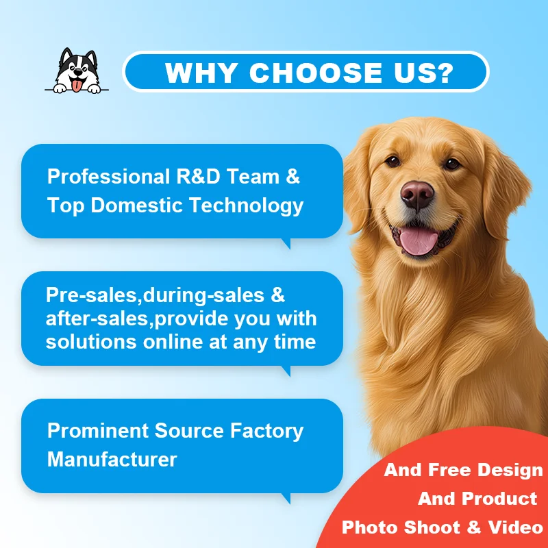 Stomach Guard |Soft Chew Prebiotics Dog Supplements for Gut Immune Health Care