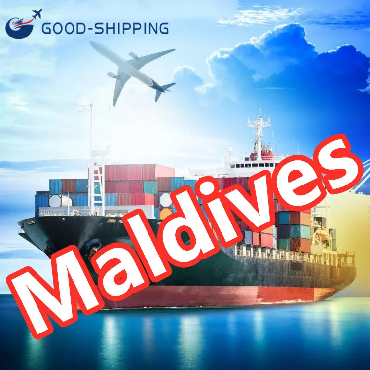 Door To Door International Logistics Sea Air Express Transport  Freight Forwarder Agent Shipping To Maldives