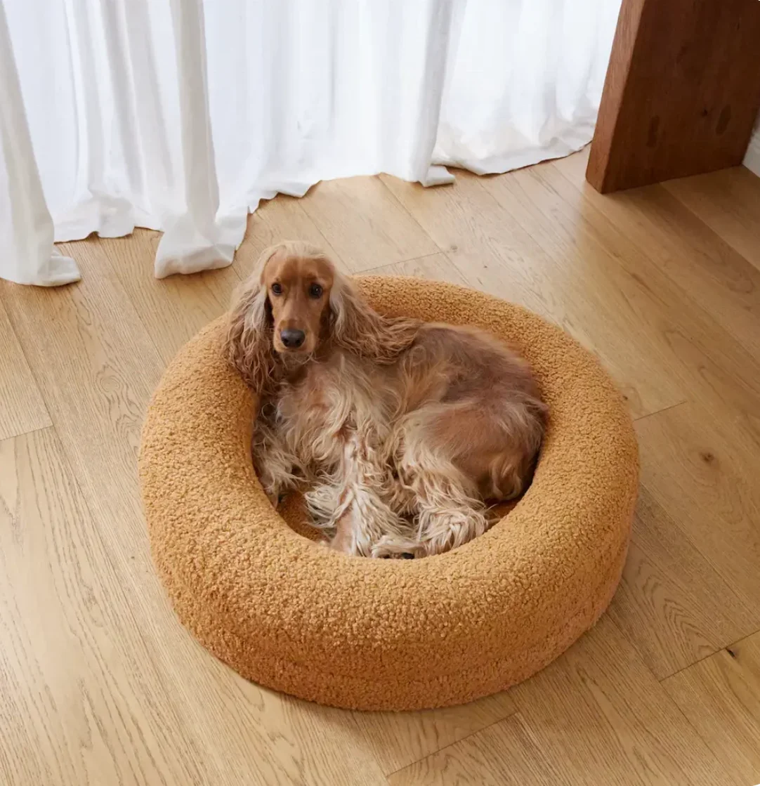 Luxury Cooling Memory Foam Golden Teddy Waterproof Cover Large XL Custom Boucle Barney Orthopedic Pet Dog Cat Bed Stairs