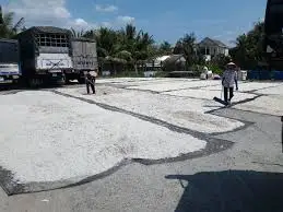 Cheap Price Vietnam dried fish scale for collagen peptide extract Wholesale AGENAS