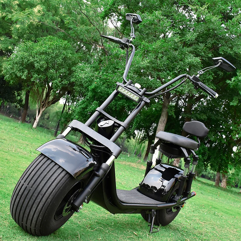 1500W/2000W 2 Wheel Offroad Electric Scooter for Adult