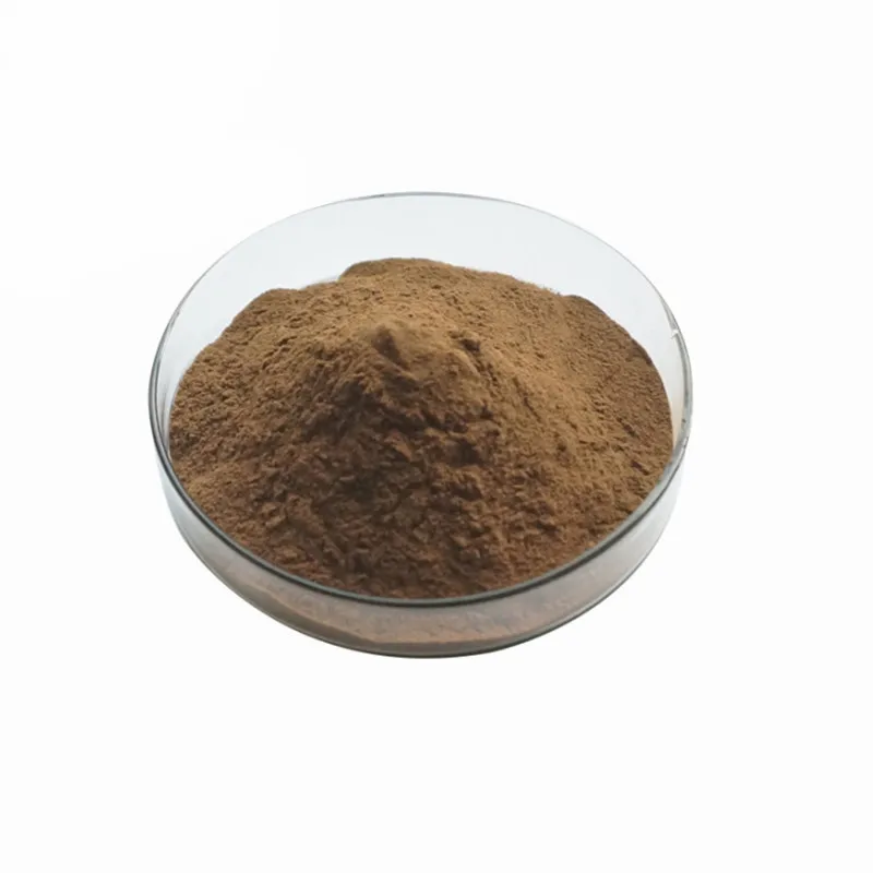 Hot Selling Best Quality Echinacea Extract Polyphenols