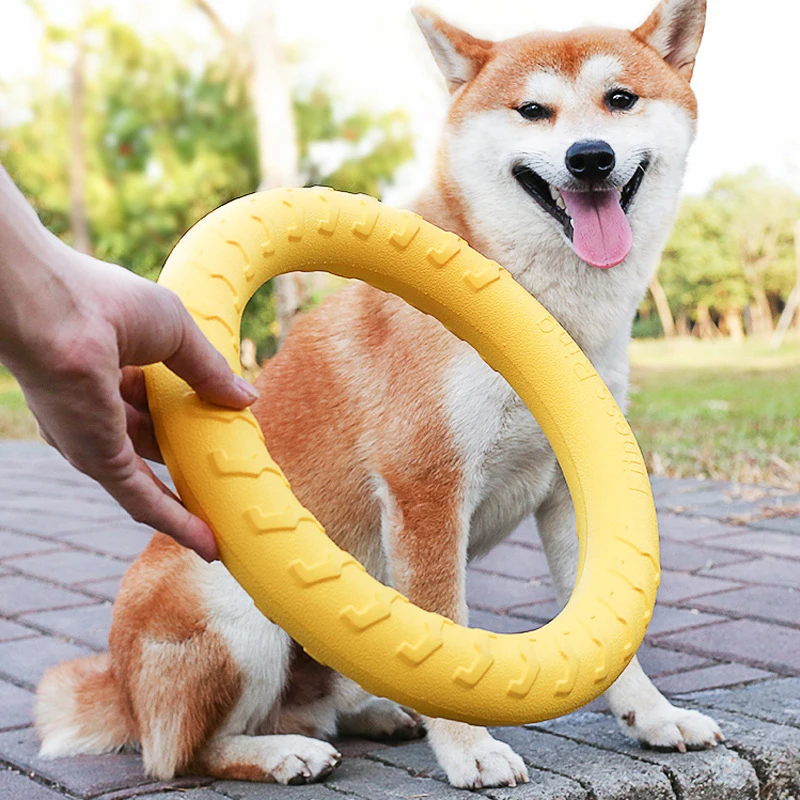 wholesale low prices outdoor solid circle toy EVA dog fun pet game pull ring pet training dog bite toy