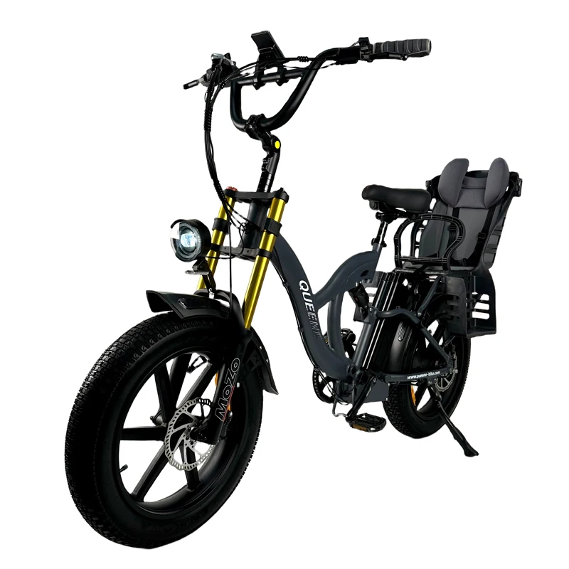 QUEENE Factory Price 20 Inch Fat Tire 15Ah Lithium Battery 7 Speeds 2 Seater Ebike Electric City Bike