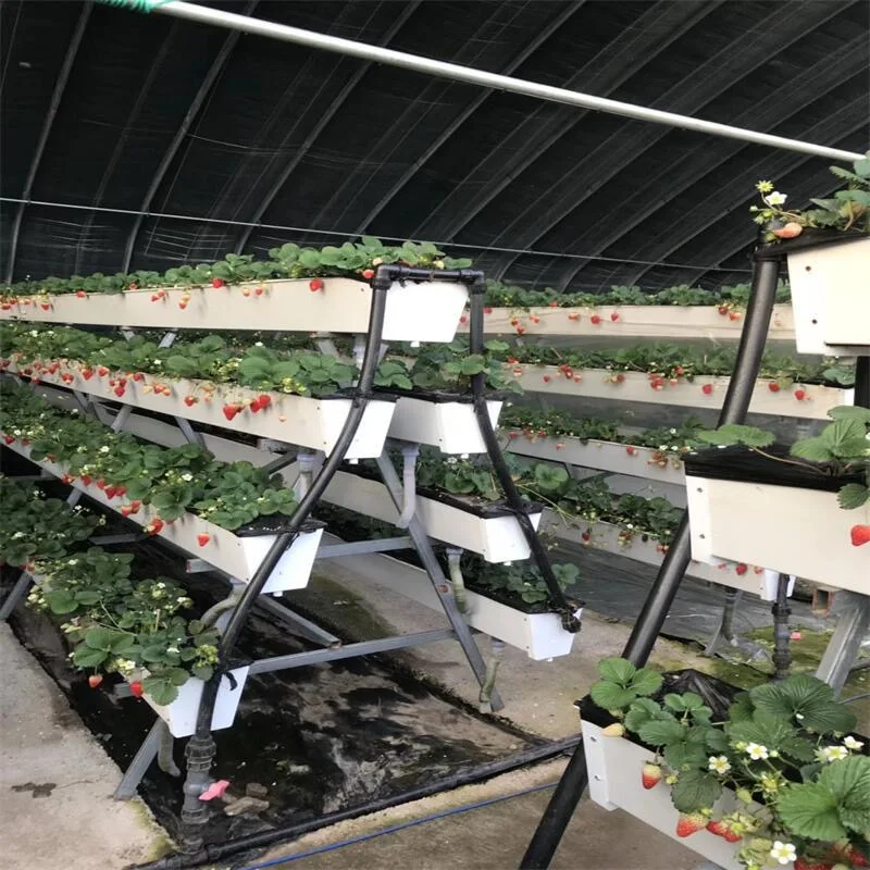 pp planting tank soilless culture strawberry structure equipment Hydroponics shelf low cost greenhouse for Strawberry plant
