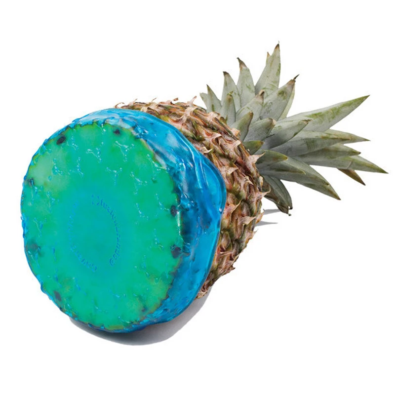 Spherical dust-proof kitchen anti mosquito and fly bowl cover