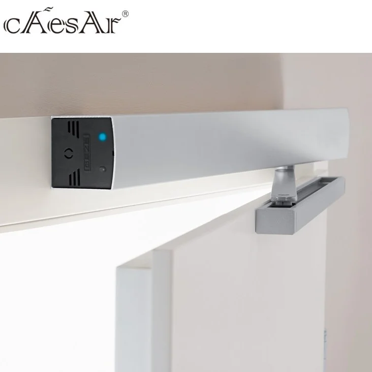 Best price swing door closer automatic with high quality