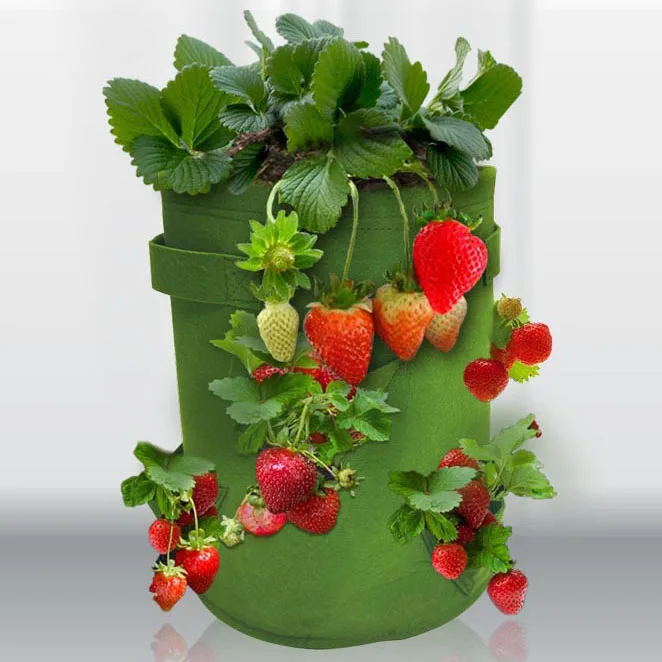 Balcony Garden Vegetables Fruits Strawberry Planting Bag Thicken Breathable Plant Growing Bags
