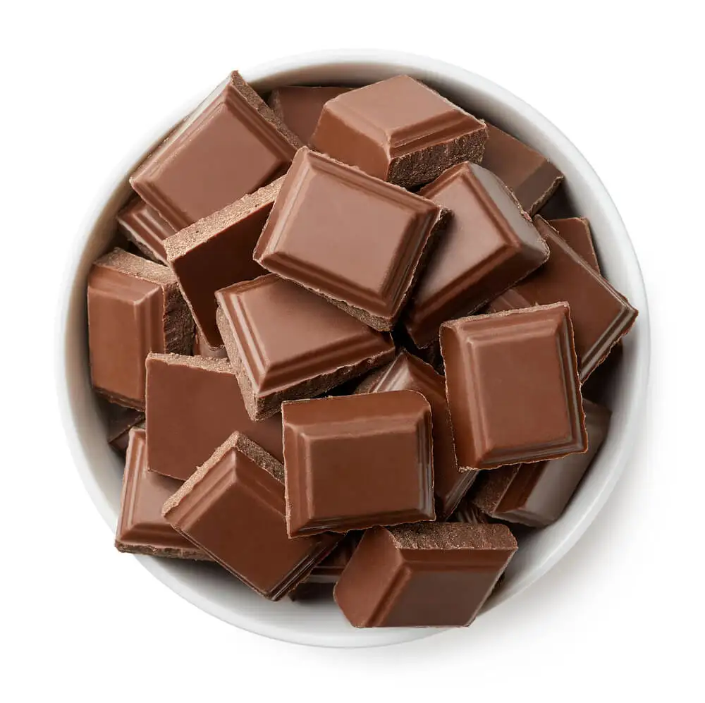 chocolate one shot moulding machine production line