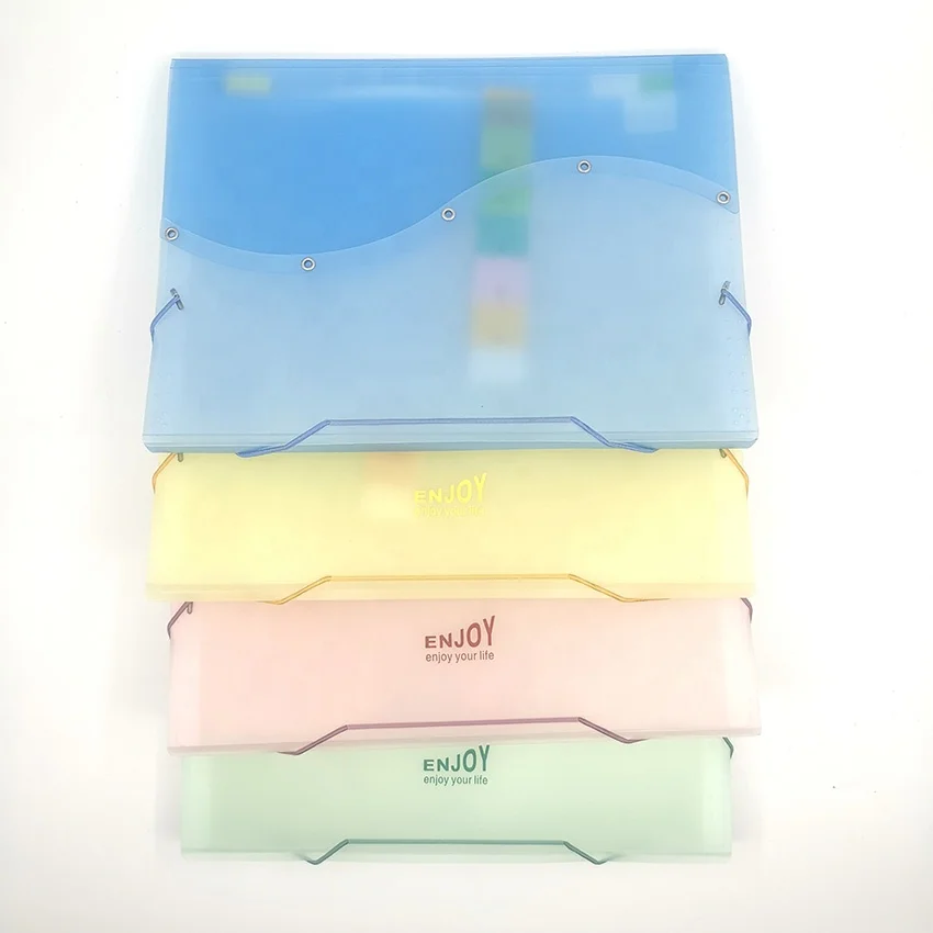 Классификация LF401 A4 PP шелкотрафаретная печать tranasродная двухцветная папка для файлов с 13 карманами и гармошкой