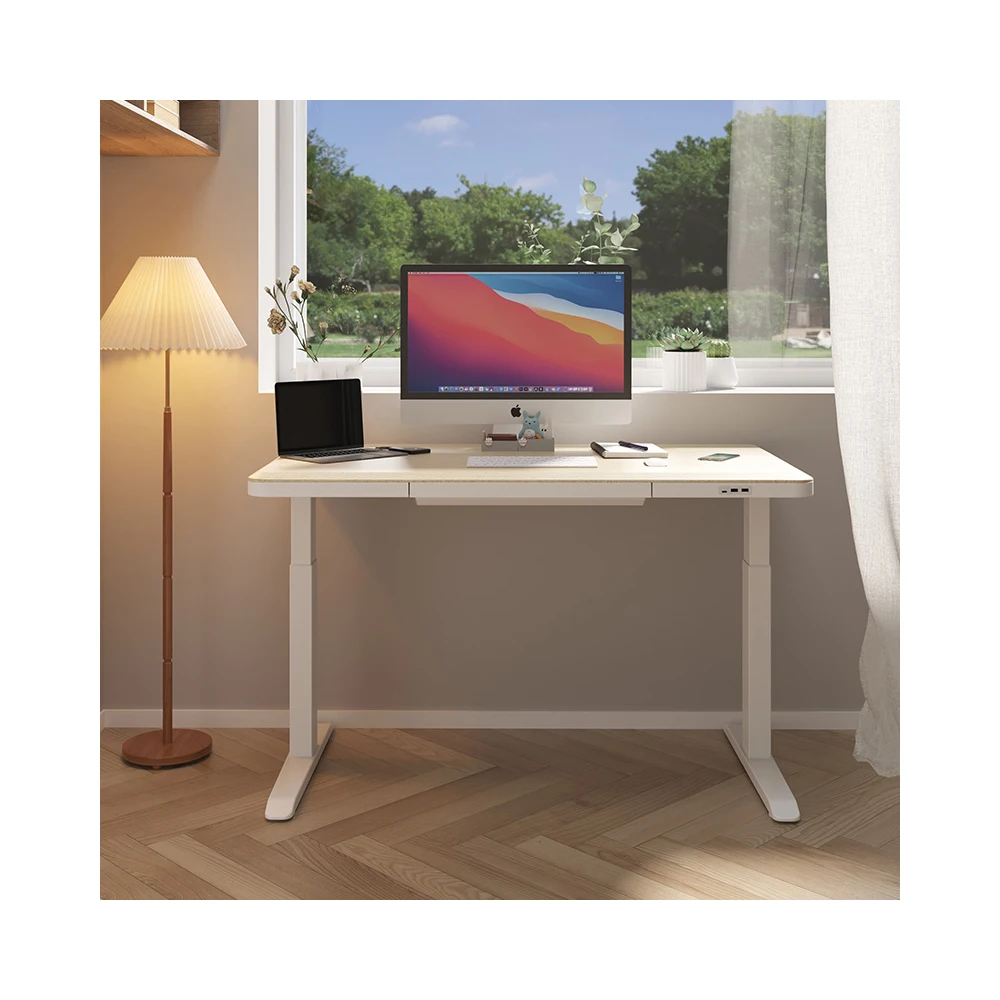 Classic Custom Electric Sit Stand Up Lift Table Frame Up And Down Single and double motor Double Column Adjustable Desk