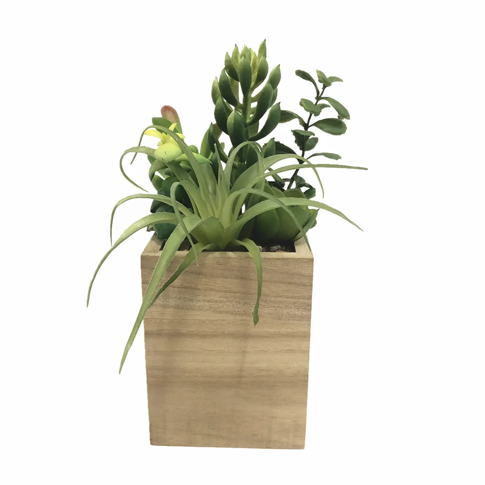 Big size Artificial Echeveria Succulent Plant for Garden Decoration