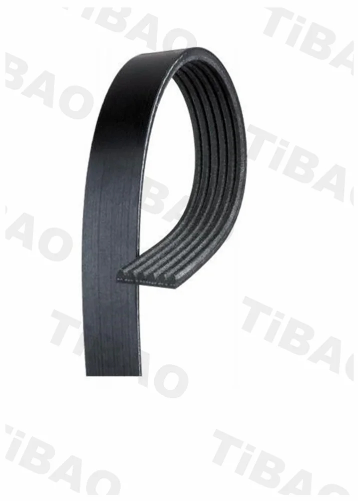  Автозапчасти TiBAO V-образный ремешок для VW GOLF 5 OEM 03G 903