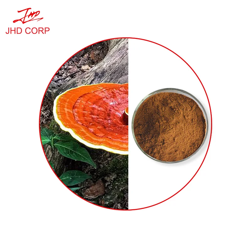JHD sporoderm-broken ganoderma lucidum mycelium lucidum spore powder
