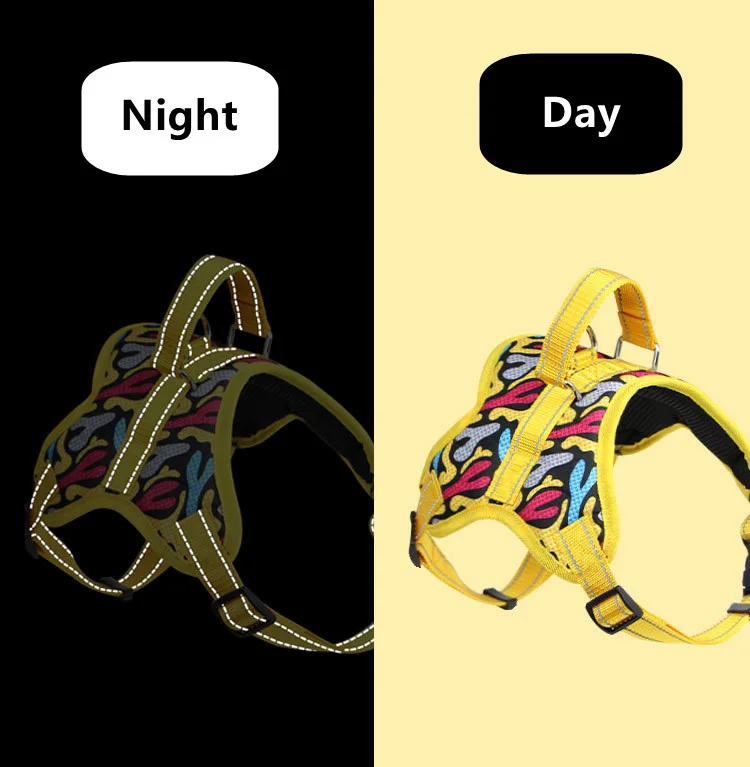 Bark Collar Leash With Toy Cat Usb Led Dog Rope Pet Chain Harness Plush Pvc Leather Stylish Tweed Big Bell Voyager Studded