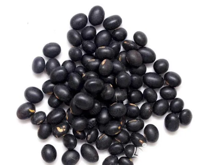 
Hot sell IQF Frozen Black Beans Wholesale with good price and better quality 