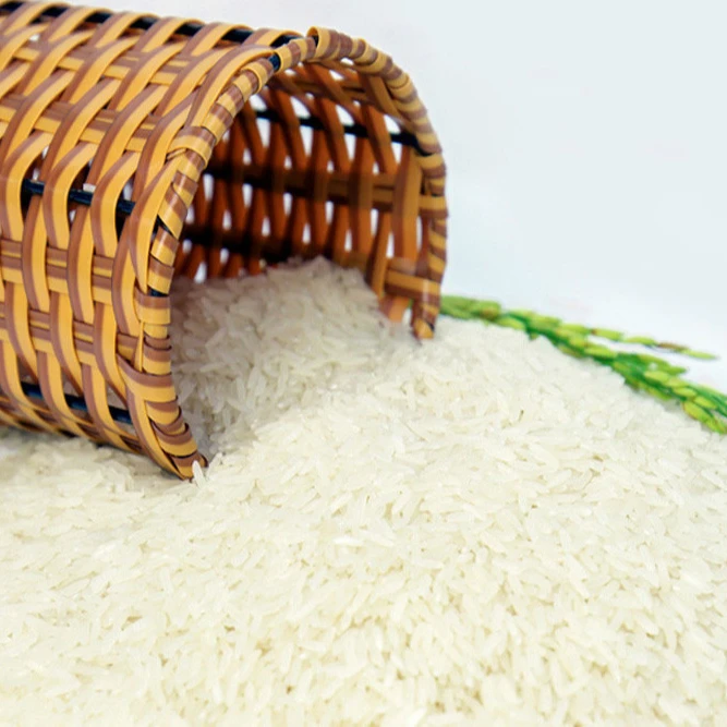 White jasmine rice for wholesale / Asian Rice / Best Rice awarded with competitive price (ST25)