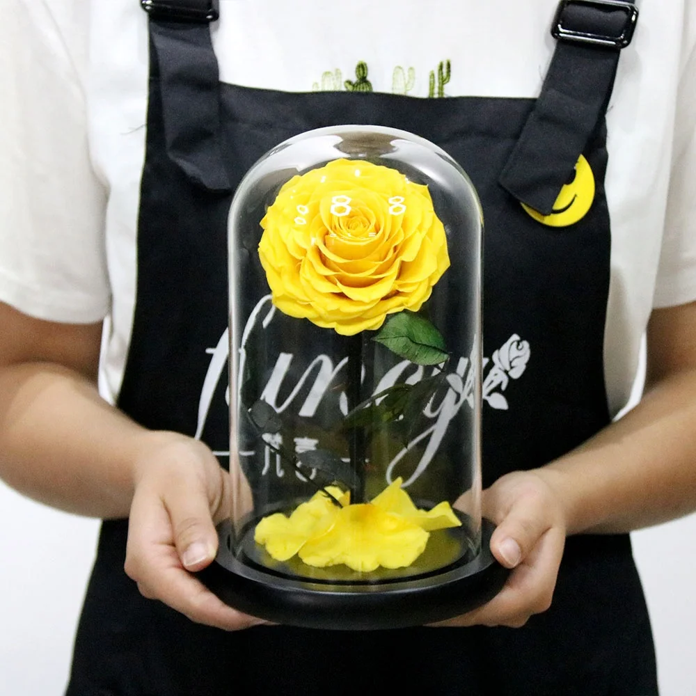2019 Belle Enchanted Wholesale Preserved Roses Christmas Gifts Set Eternal Roses in Glass Dome