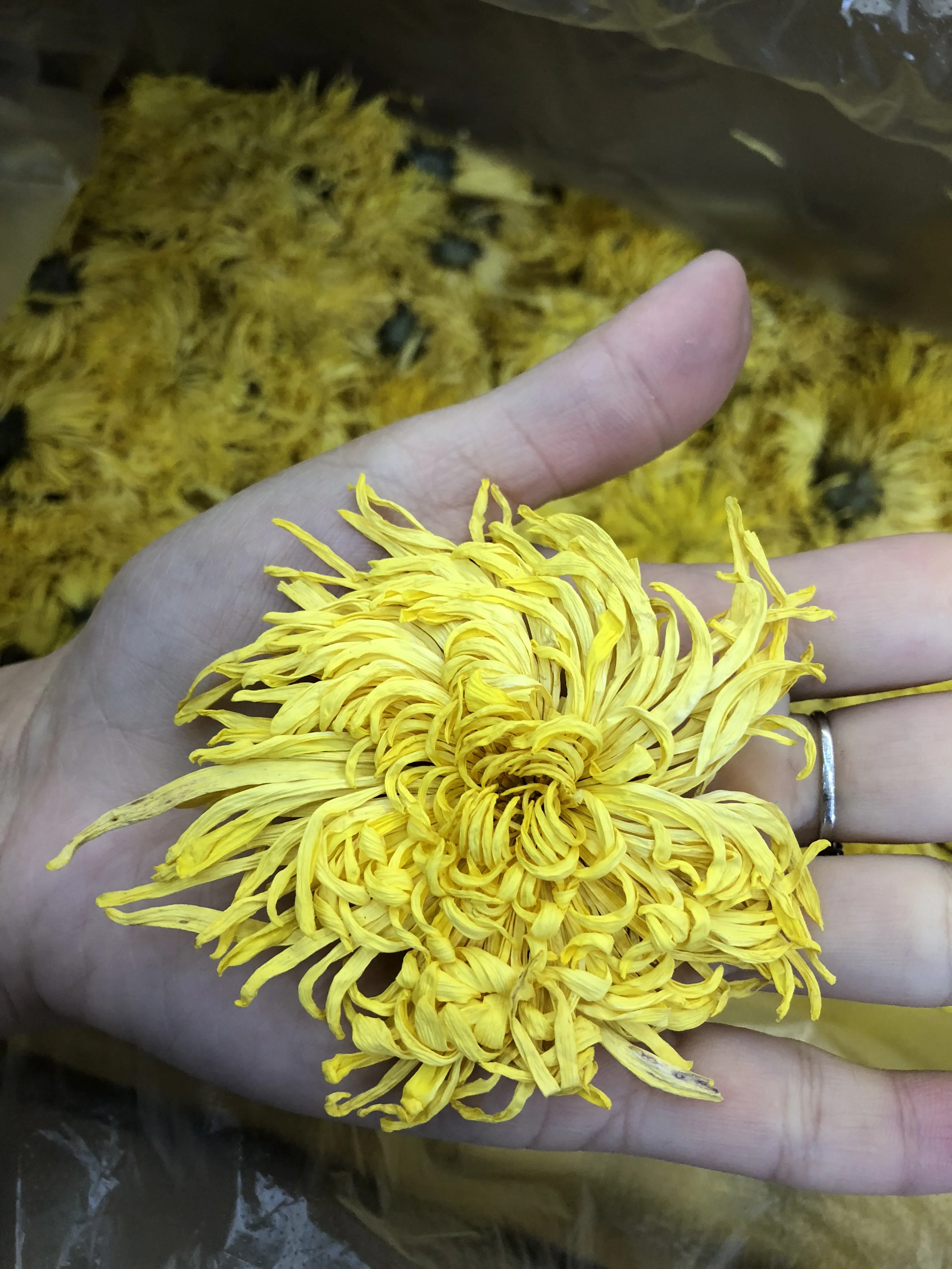 
Organic Healthy Snack High Quality Organic Tea Head chrysanthemum Dried flower tea 