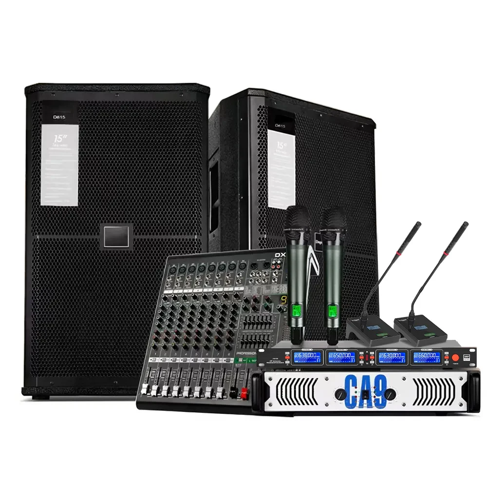 D100C Single 15 Inch Sound System 10 Channels Audio Mixer With Power Amplifier For Multimedia Conference Large