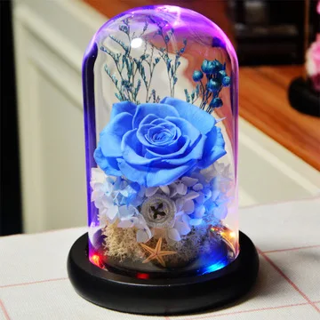 sweet blue rose lamp real preserved rose in glass dome, enchanted  forever flower night light for valentine anniversary gift