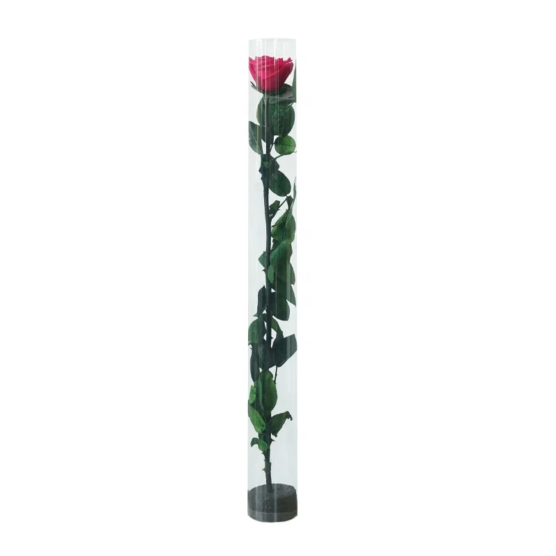 UKIQUEEN Factory Wholesale 60 cm Long A Grade Big Forever Rose Stabilized Flowers Preserved Rose with Stem in Plastic Tube