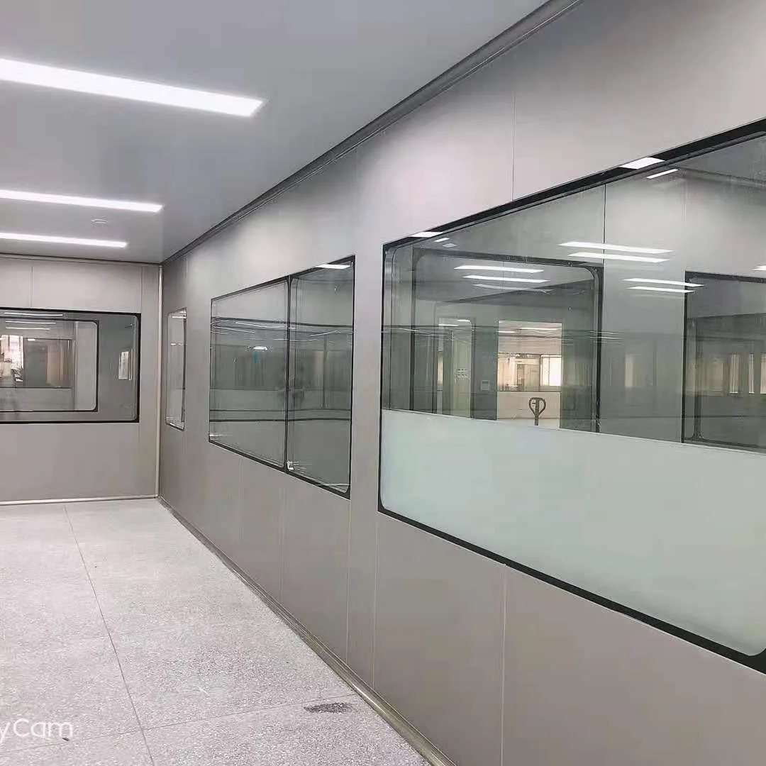 Double Tempered GMP Glass Clean room Window purification window