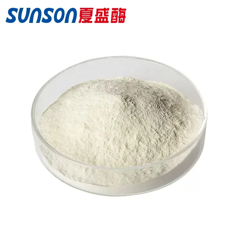Fungal Diastase Fungal Alpha Amylase Food Grade Powder Non GMO for Bread Baking, Food Processing,etc.