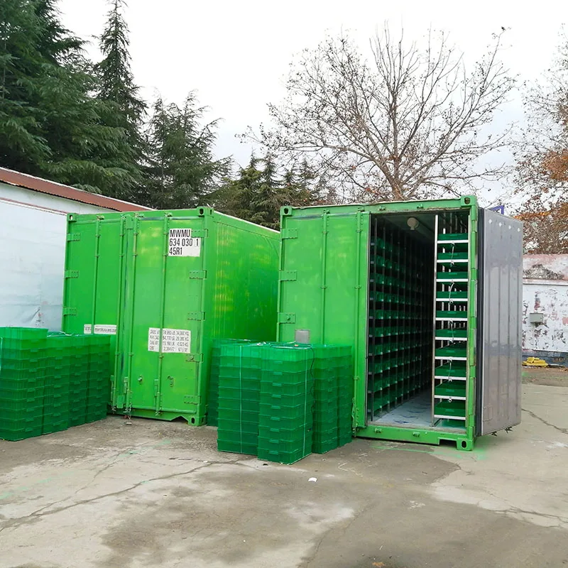 Solar Powered Hydroponic Growing System for Fodder