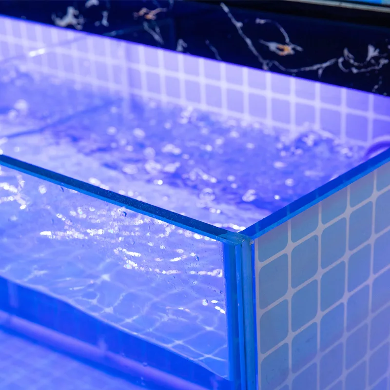 Live Canadian Lobster Farming Tank Fish Tank for Restaurant Supermarket Seafood Shop