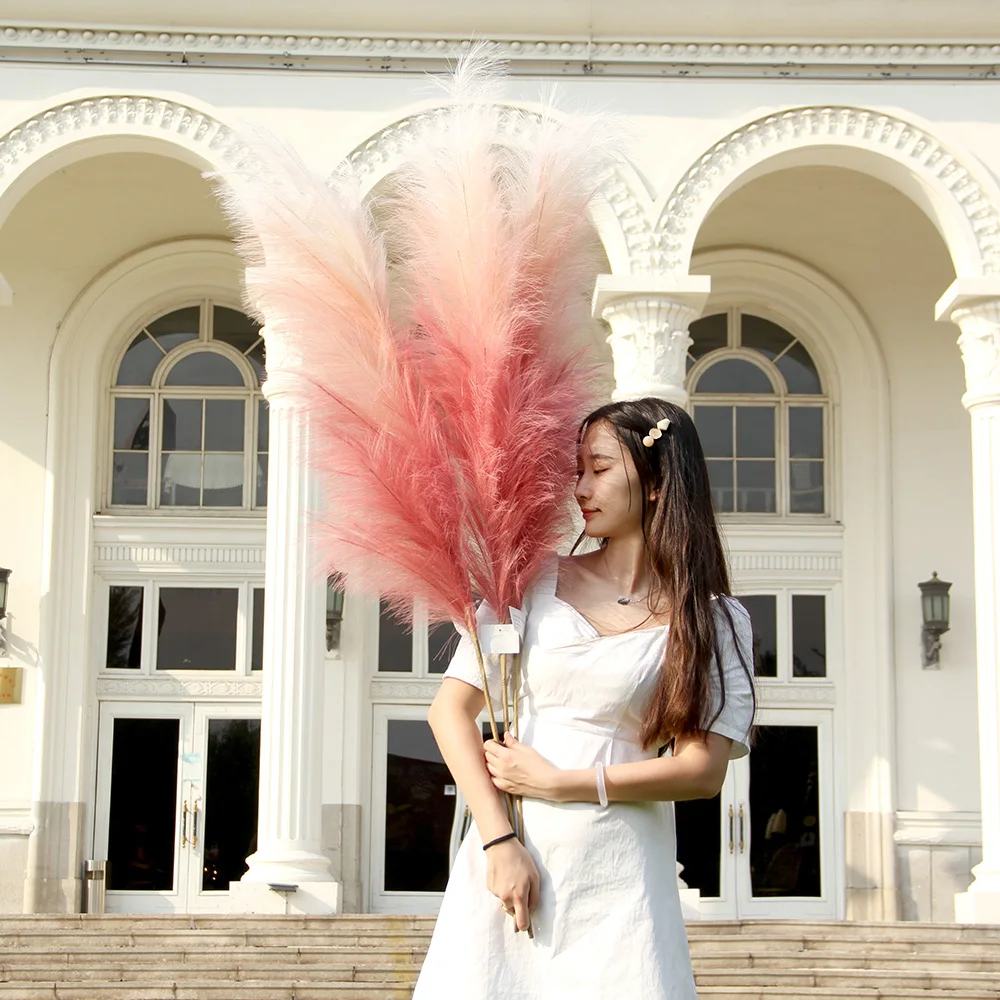 Multicolor Artificial Tiffany Blue Pampas Cortaderia Selloana Gradient Neon Pampas Phragmites Communis Pampas Seeds