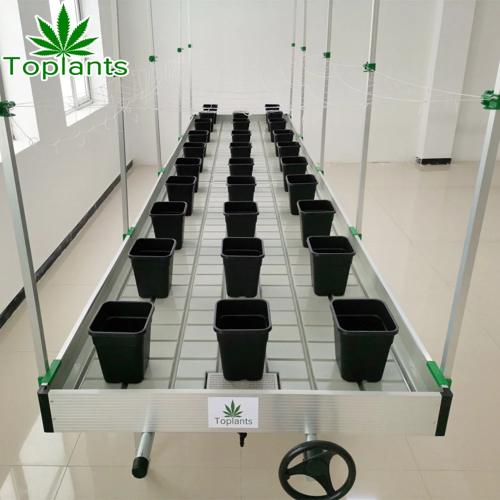 greenhouse hydroponic Plant nursery flood tray hydroponic grow agricultural growing equipment