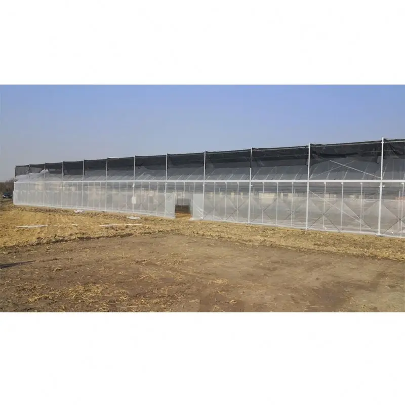 200 micron double layer plastic film  hydroponics growing system greenhouse