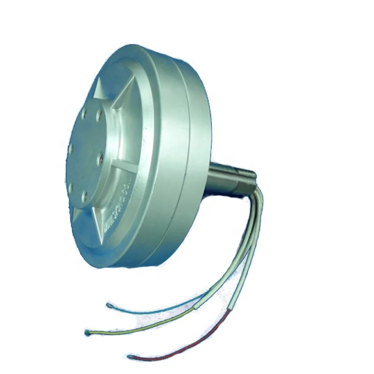 2000W New energy vehicle endurance 2kw 300r disk type generator for electric car extended range coreless wind turbine