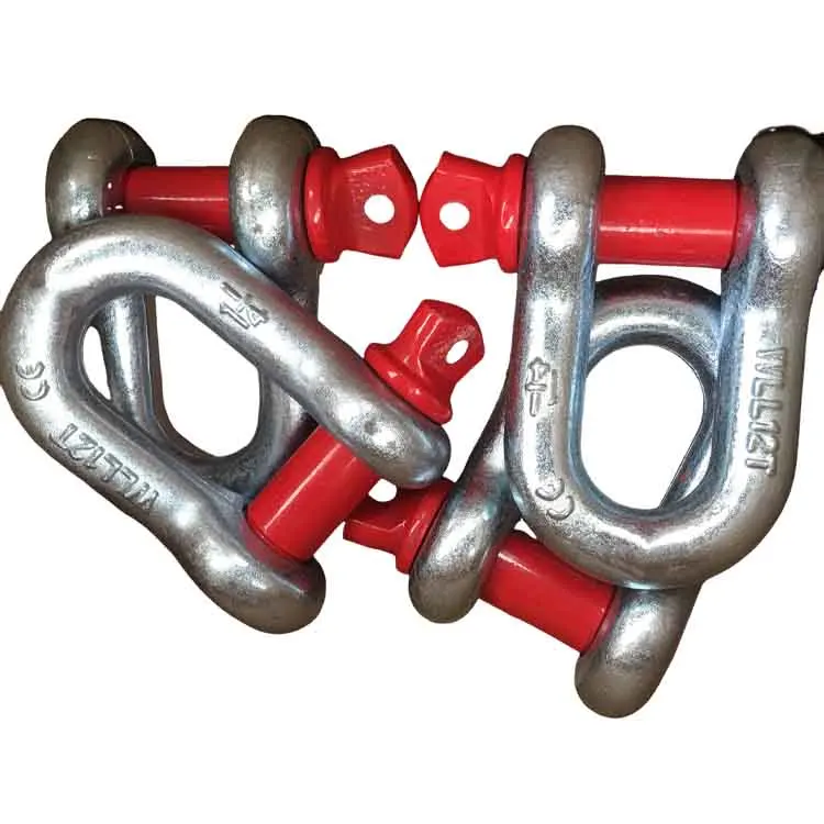 Factory Us Type Screw Pin Anchor Shackle Dee Shackle 0.5-55T Marine Hardware Lifting D Shackle