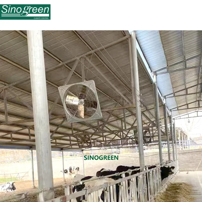 YOUR barn ventilation! Exhaust fan for cow sheds multifan dairy fan for cow barn ventilation