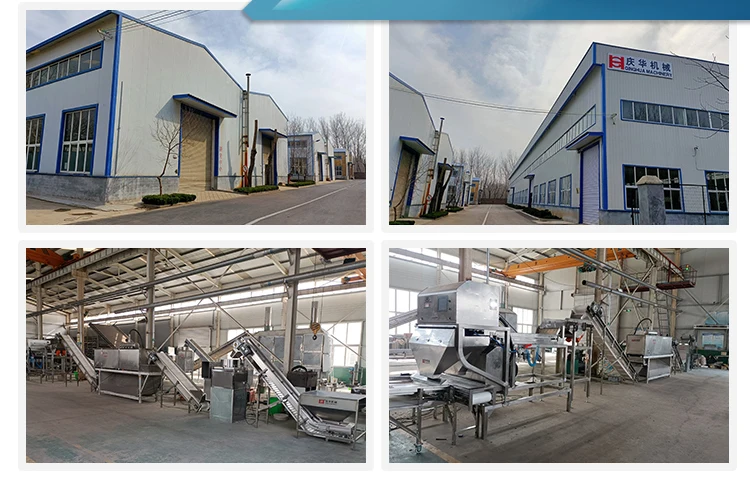 restaurant wash the dirt manufacturers for sale garlic  washer/cleaner