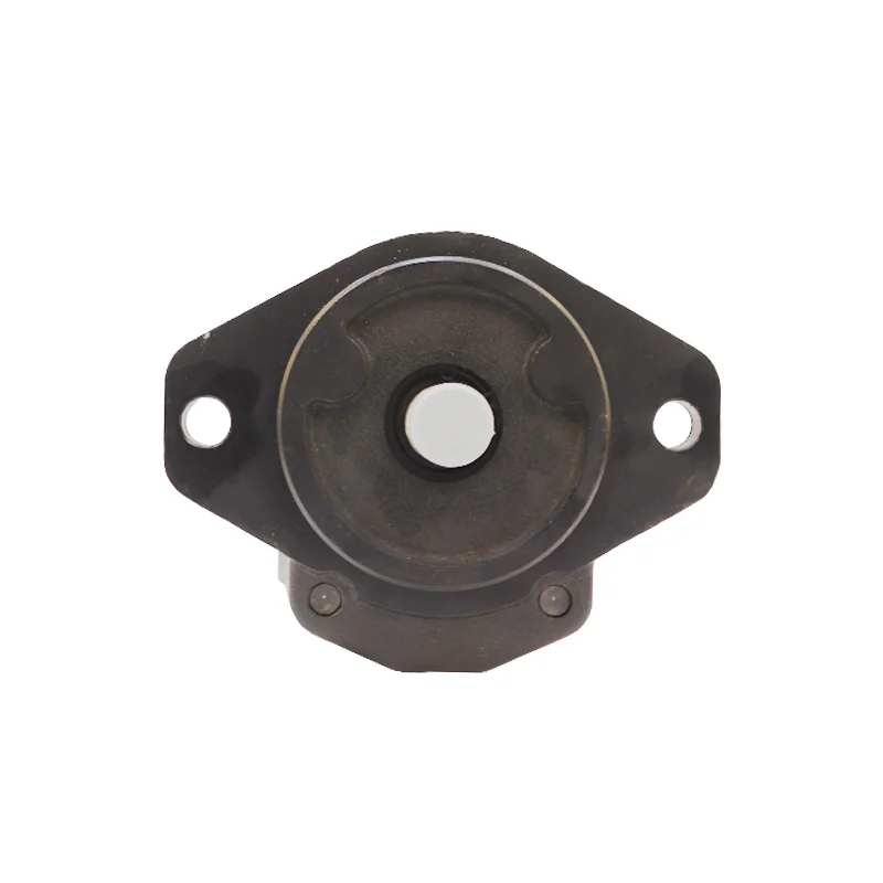 Custom Low Noise Rotary Gear Pump Hydraulic Pump