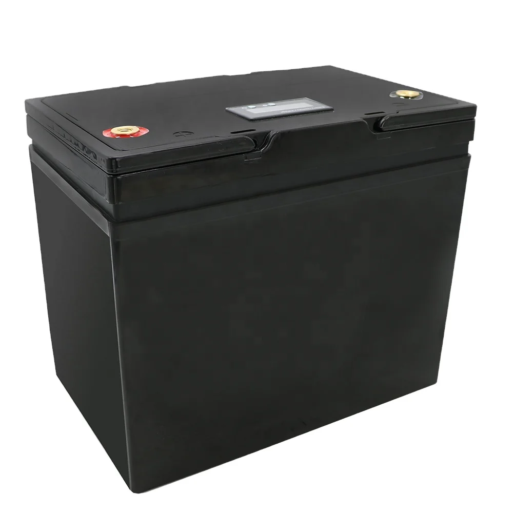Литий-ионный аккумулятор monopattino Lifeo4 100 Ач 12 Вольт 24