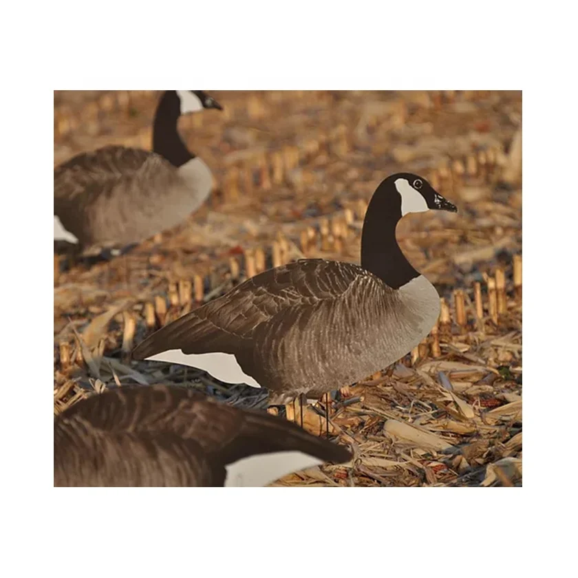 Sitka Hunting Gear Snow Goose Decoys