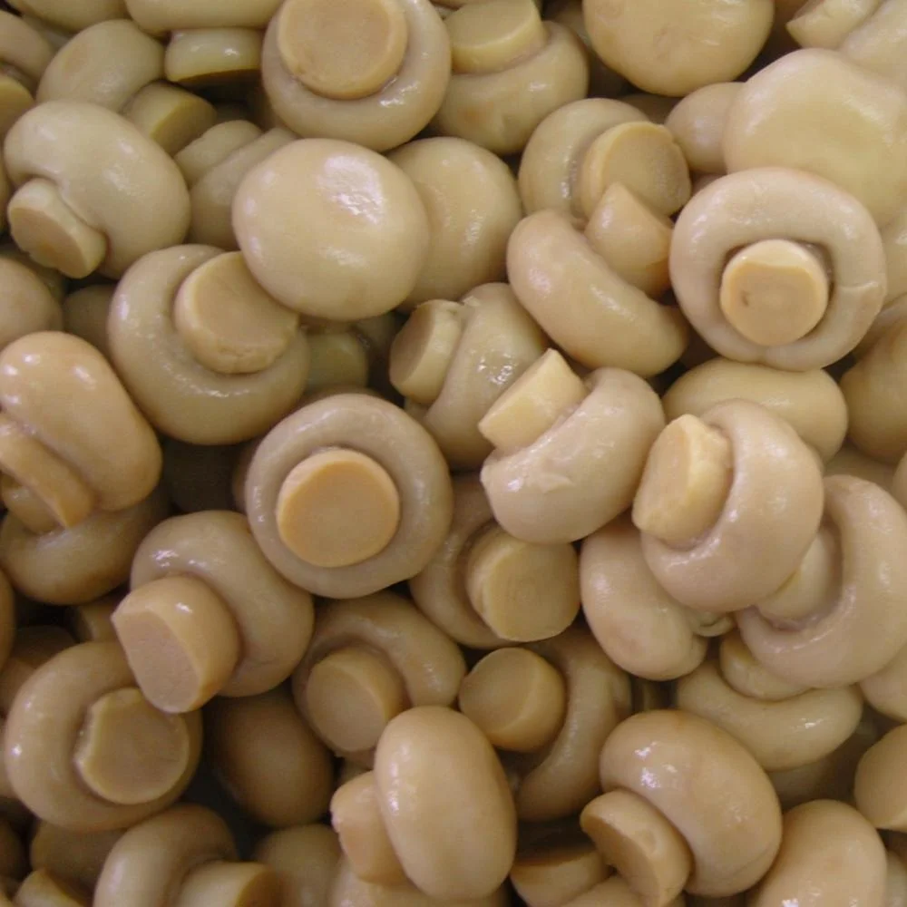 
 Свежая Упаковка, китайские консервированные грибы, выбор качественных грибов в баночках 314 мл  