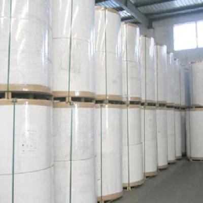 Wholesale 55gsm 800mm X 6000m Thermo 80x80 Bpa Free Jumbo Thermal Paper Rolls 400 Mm