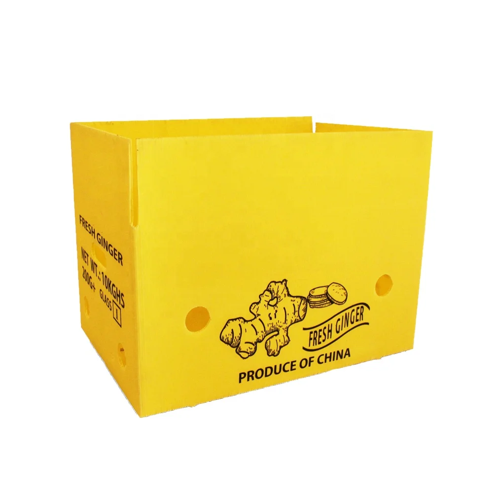 pp corflute boxes corrugated plastic vegetable storage boxes