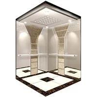 CE/EAC Certificate 10 person 800KG stainless steel construction passenger lift