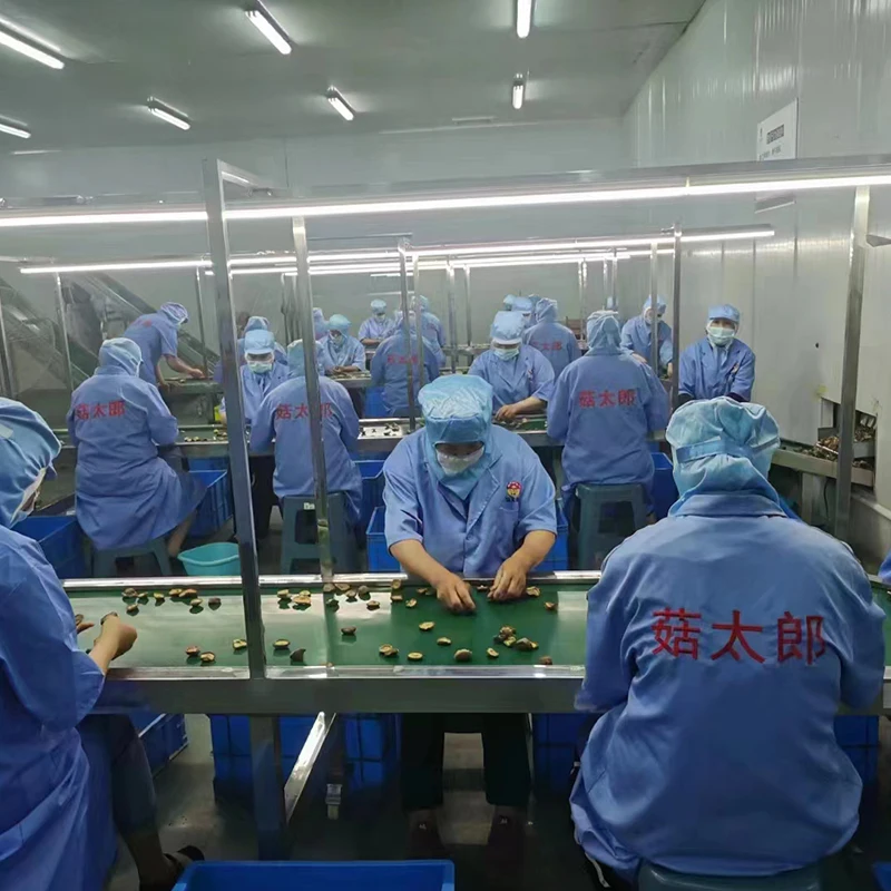 Factory Supply Wholesale Dried Champignon Granules Gutailang Dried Mushroom Cube Dried Champignon Diced Shiitake Mushroom