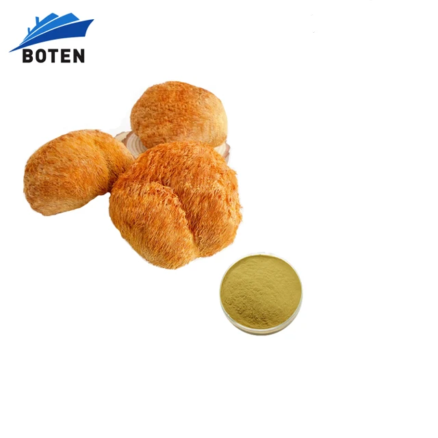 Mixed reishi cordyceps maitake chaga lions mane cordyceps militaris cordysepin extract organic powder