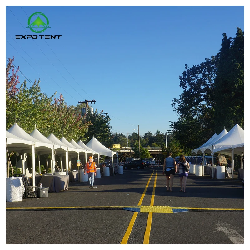 Reliable Factory Direct Supply Outdoor Waterproof Easy Set up canopy 10x10 feet canopy gazebo Spire tent for sale