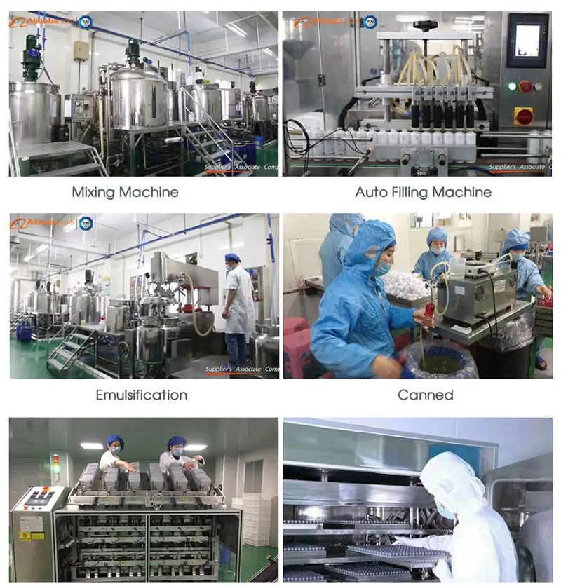 Factory Over View 2.jpg