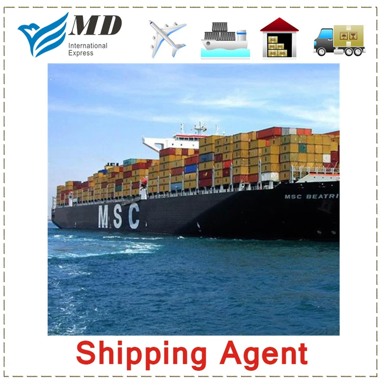 Meidi Door To Door Sea Shipping China Ship To Qatar By Chinese Shipping Agent To Qatar Freight Forwarder DDP
