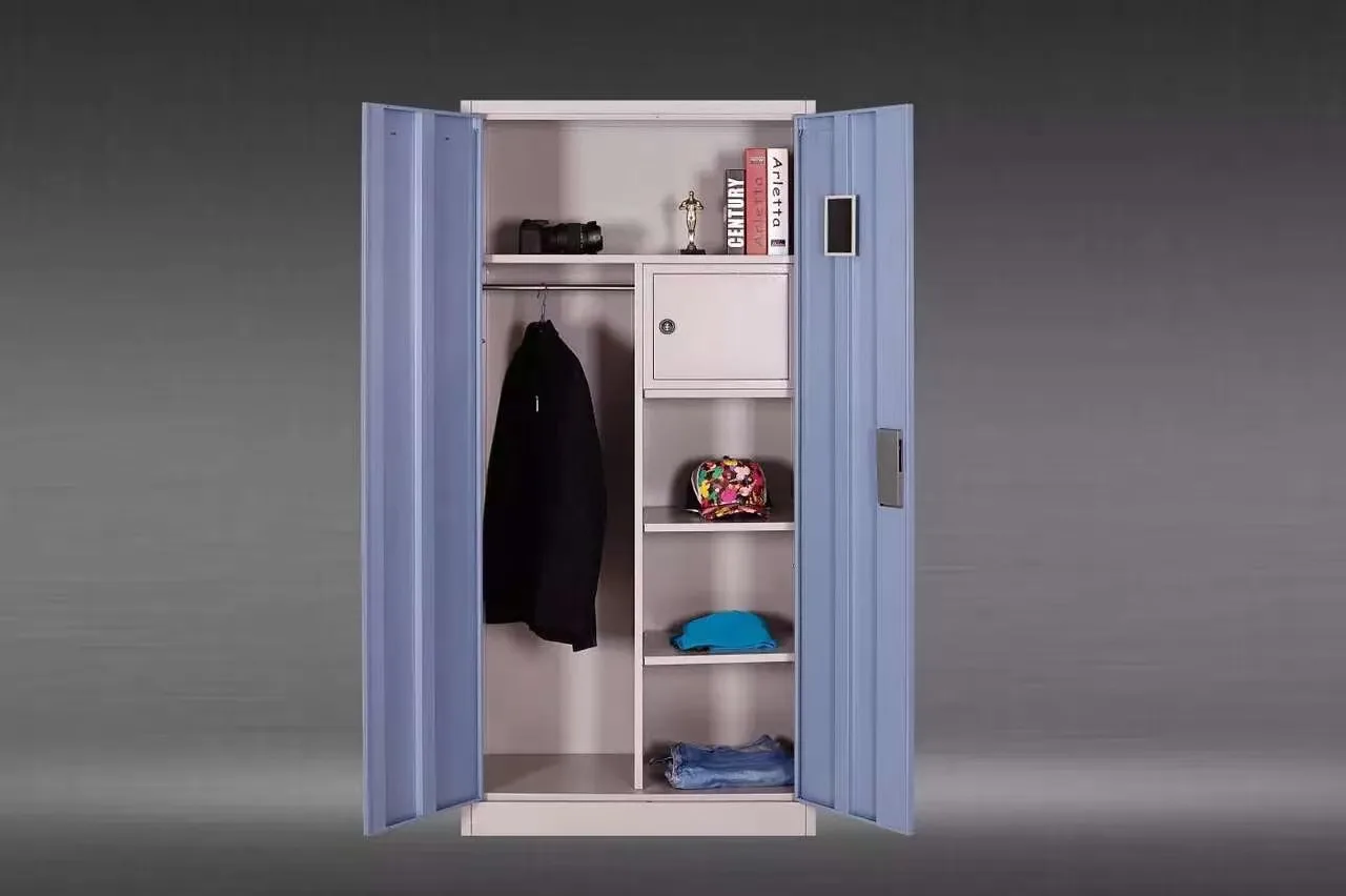 2021 New Design Amoires Bedroom Furniture Modern 2-Door Metal Wardrobe Steel Almirah Clothes Closet for Home Use or School